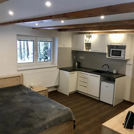 Pod Sjezdovkou Holiday home